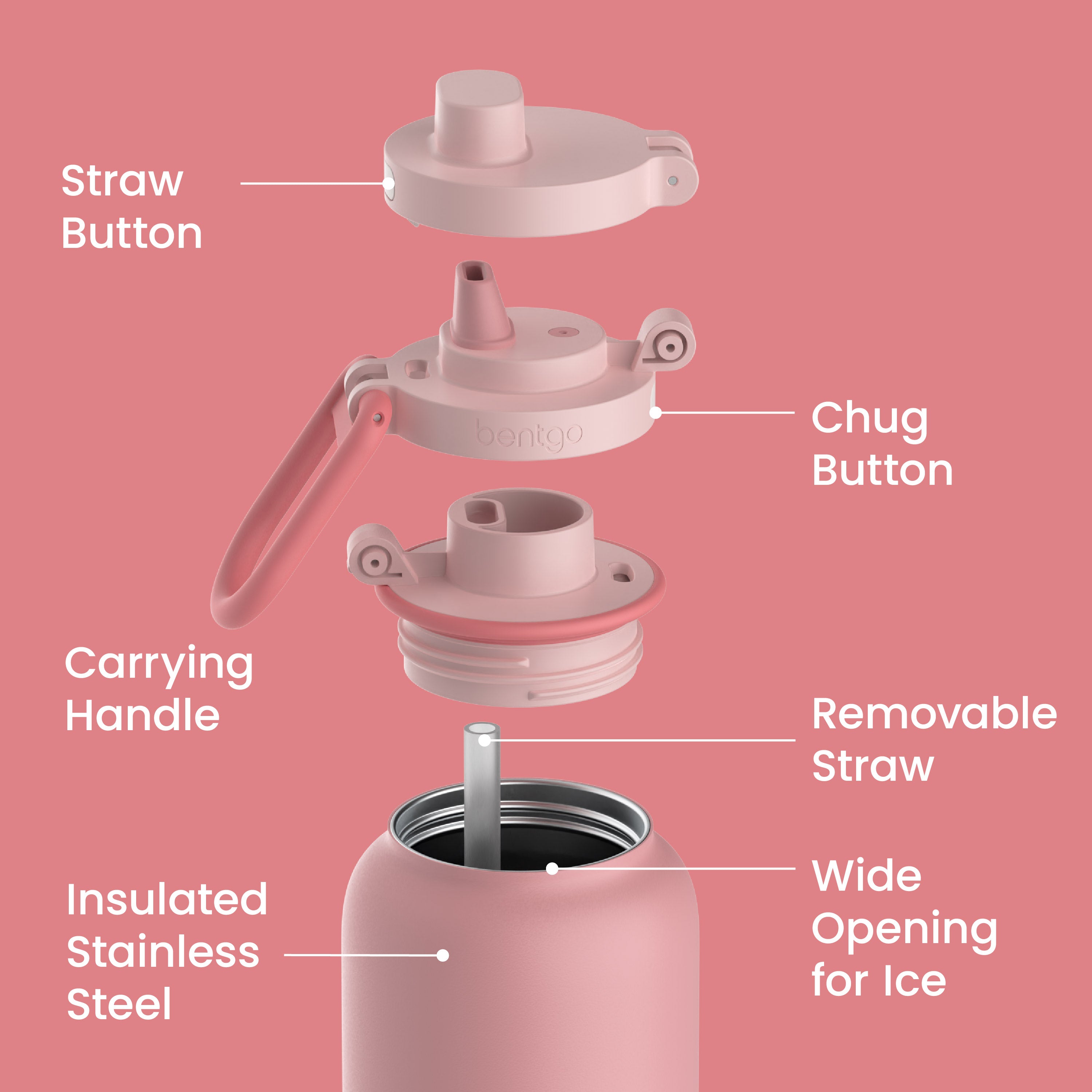 Bentgo® Flip Leak-Proof Water Bottle | Blushing - Straw Button, Chug Button, Carrying Handle, Removable Straw, Insulated Stainless Steel, and Wide Opening For Ice