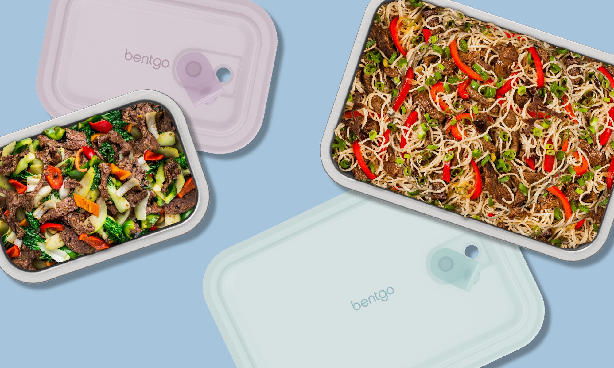 Stainless Steel Food Storage Containers