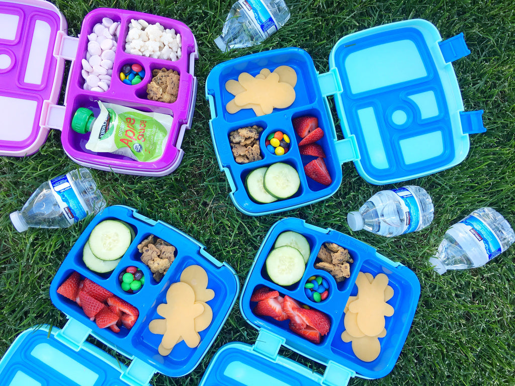 3 Tips for Packing On-the-Go Summer Meals for Your Kids