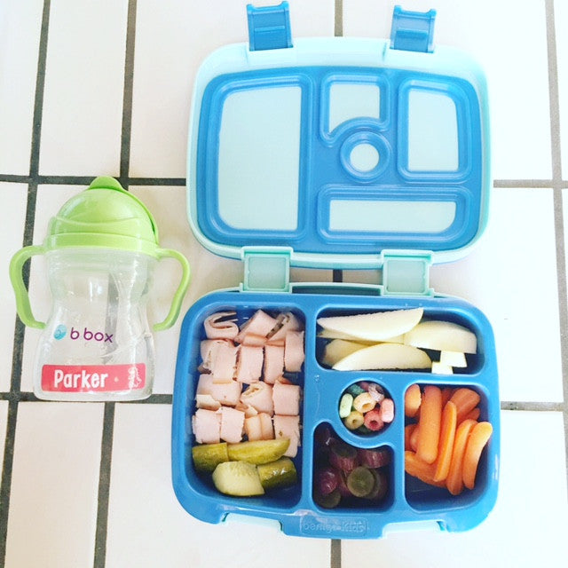 Packing Lunches for Picky Eaters