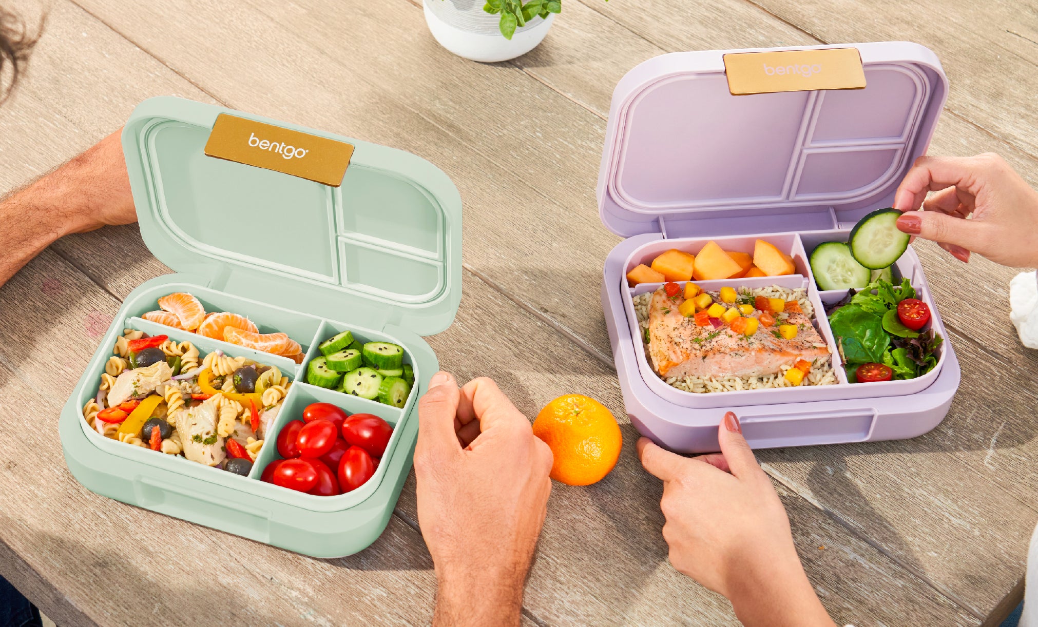 Modern Lunch Box (2-Pack)