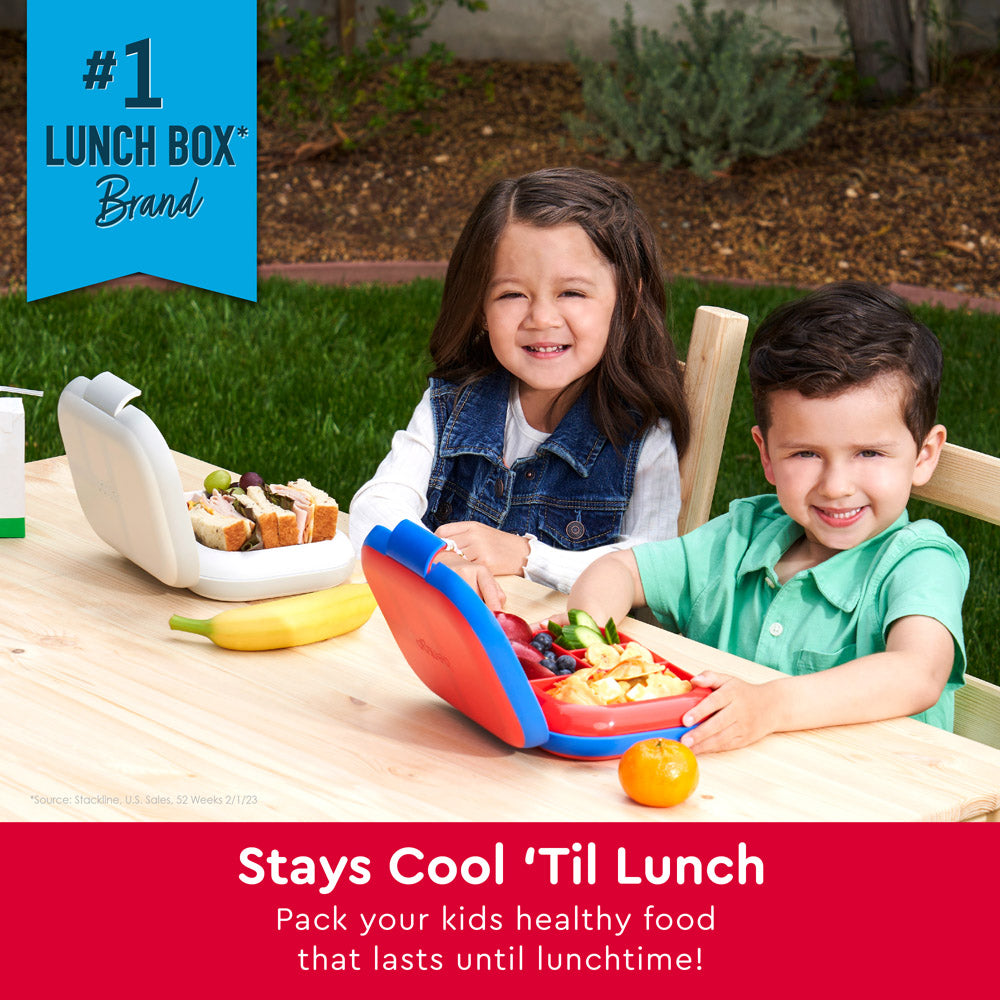 The Hottest Lunch Box Ever - 7 Ideas To Keep Your Food Hot : Storage  Transformed