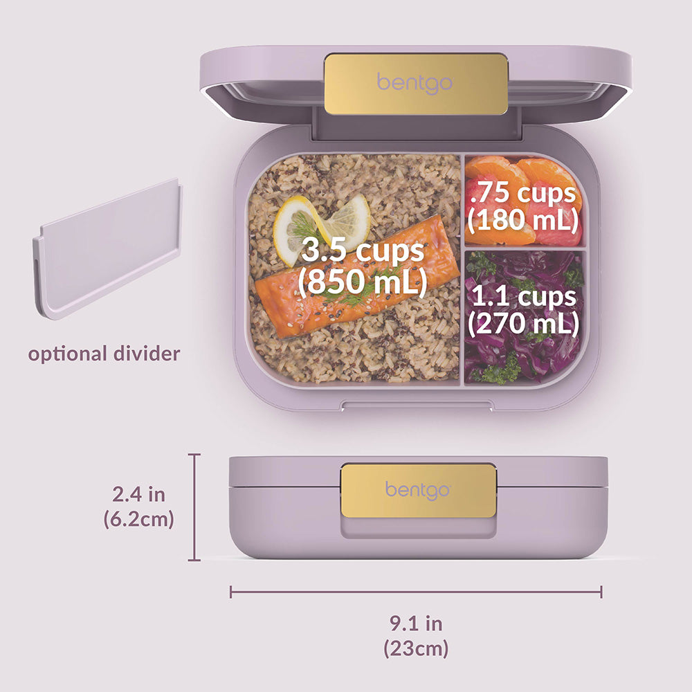 Bentgo® Modern Lunch Box - Orchid | Product Dimensions