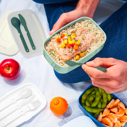 Lunch Boxes