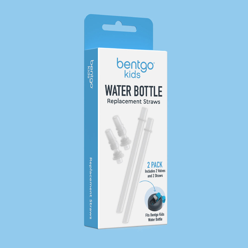 2 Pack Replacement Water Bottle Straw Set